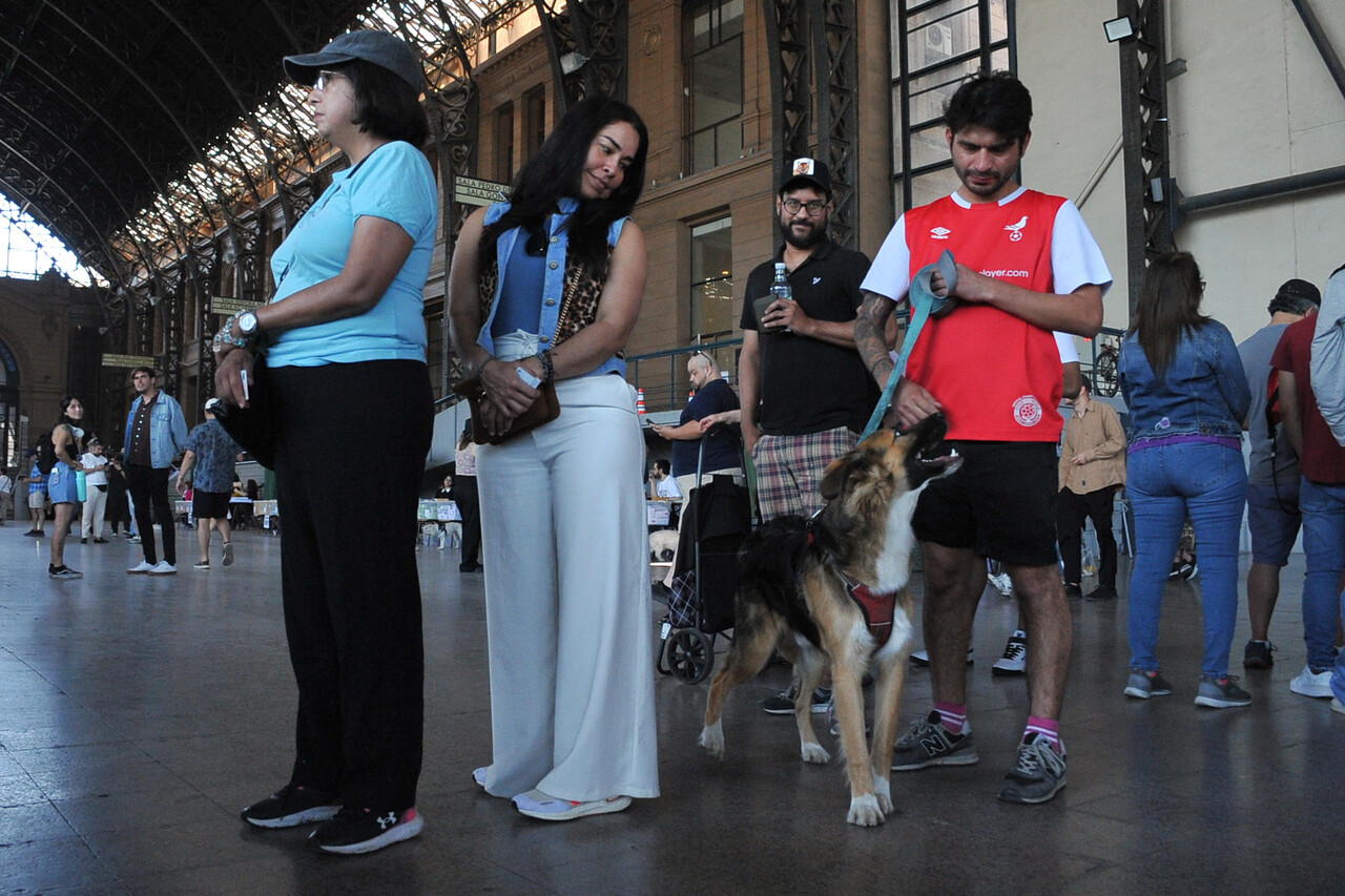 Fotos | Perritos acompañaron a sus dueños a votar/Agencia Uno