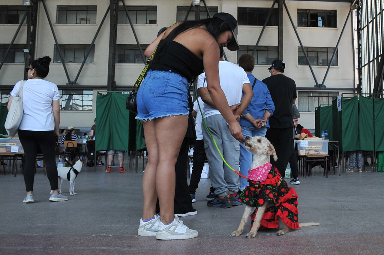 Fotos | Perritos acompañaron a sus dueños a votar/Agencia Uno