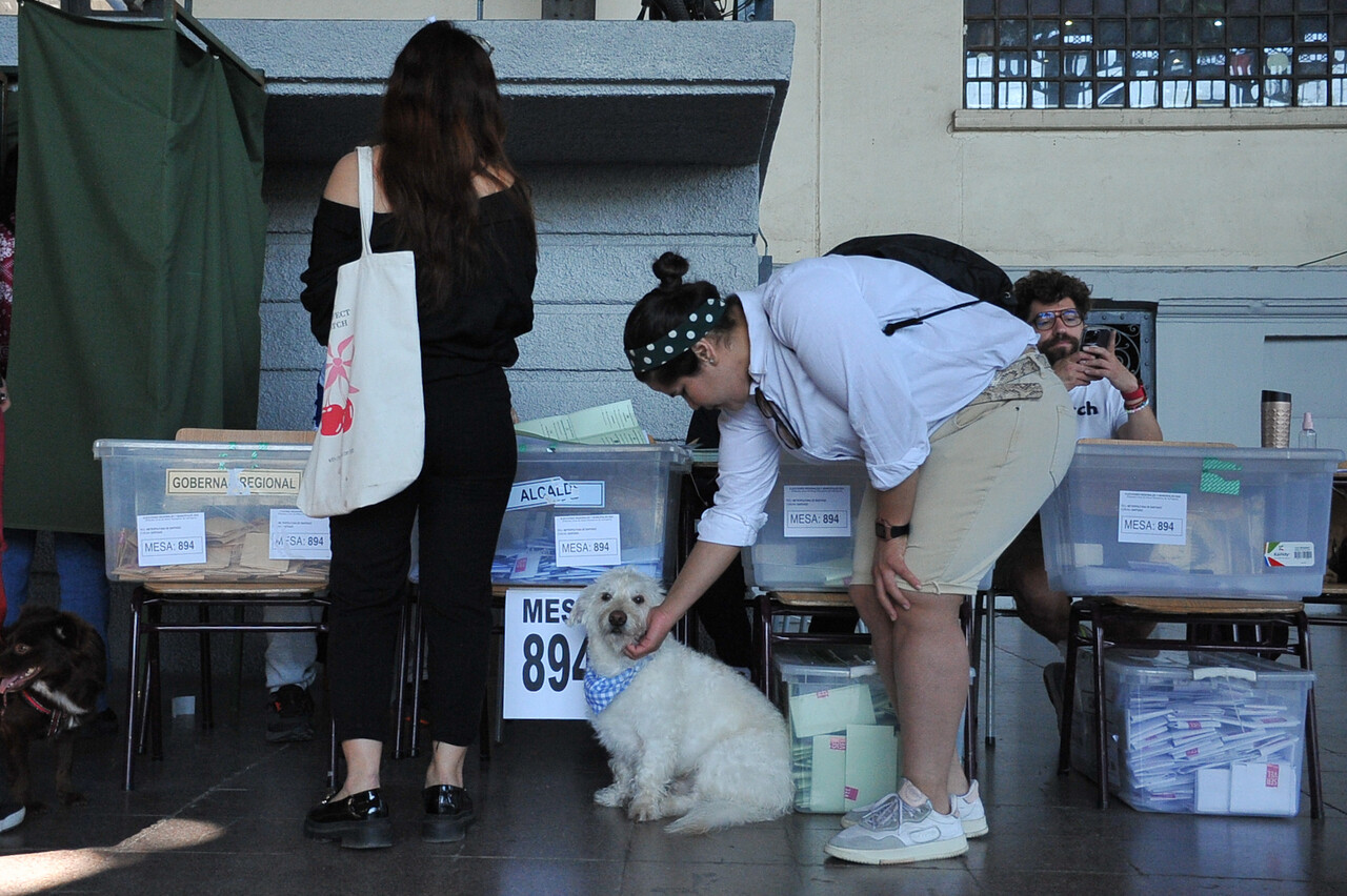 Fotos | Perritos acompañaron a sus dueños a votar/Agencia Uno