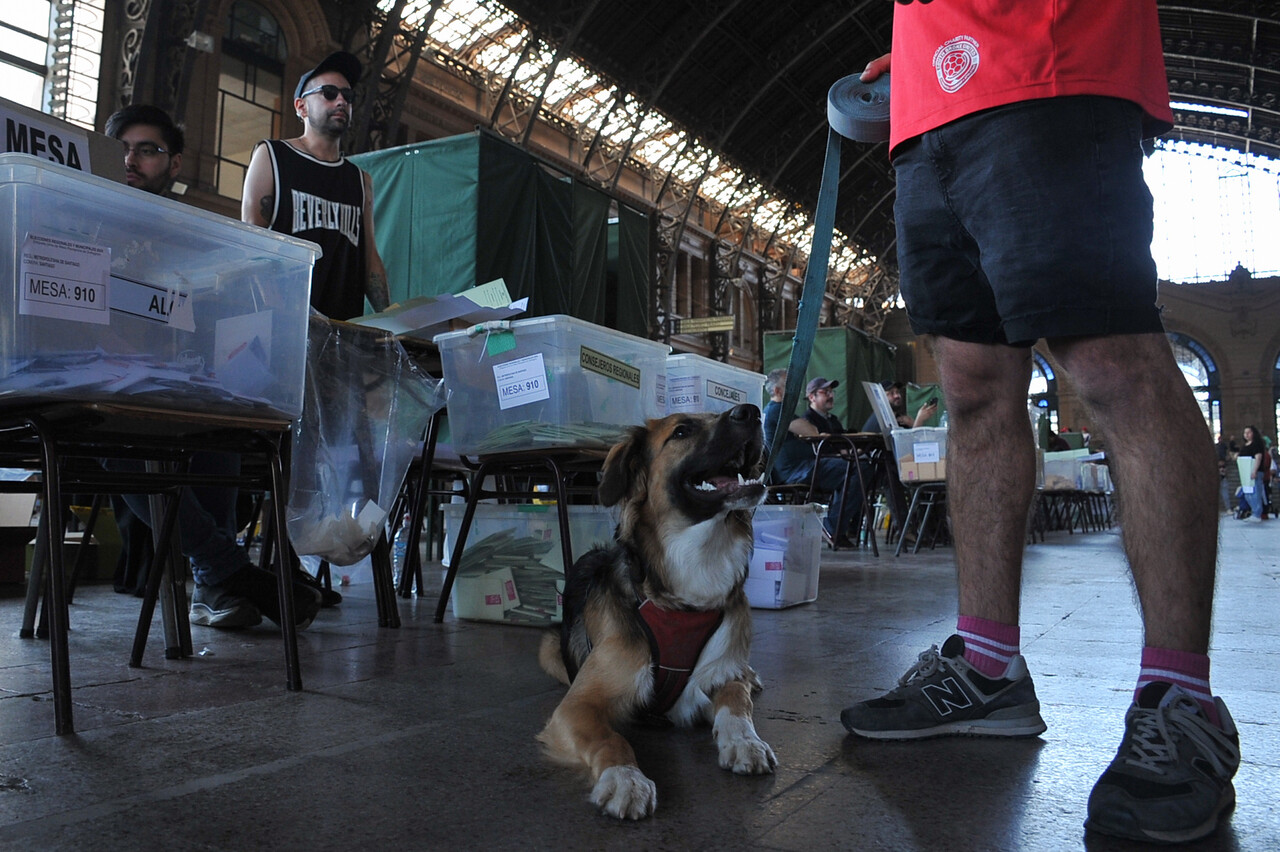 Fotos | Perritos acompañaron a sus dueños a votar/Agencia Uno