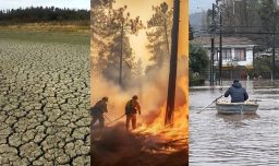 Estudio respaldado por 15 mil científicos advierte que la Tierra está "al borde de un desastre climático irreversible"