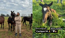 "Cacique 34": Arturo Vidal rinde homenaje a Colo Colo al nombrar a su nuevo caballo en honor a un posible título