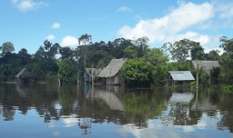 Energía nuclear: La propuesta de ministro peruano para llevar electricidad a zonas aisladas del Amazonas