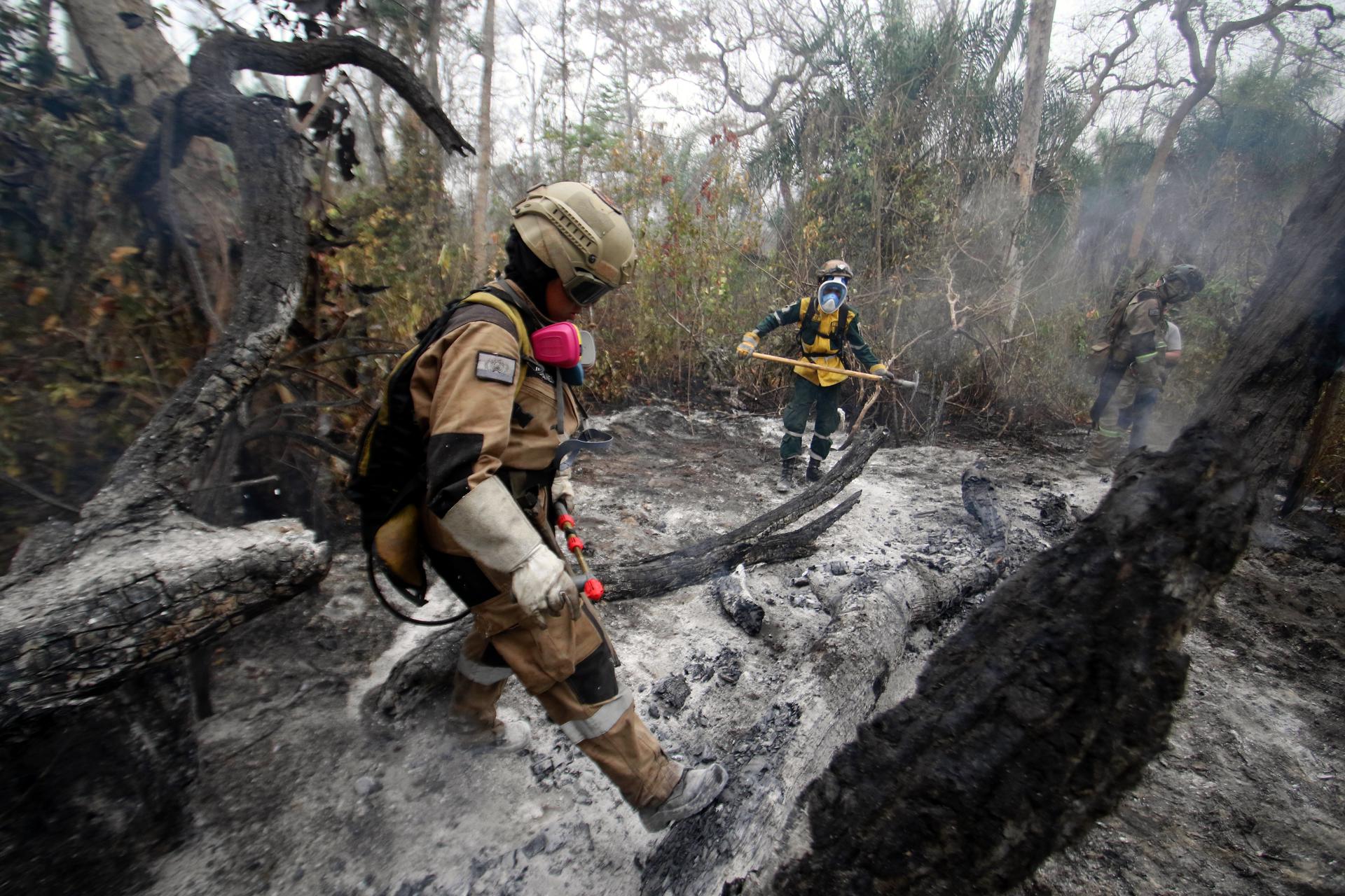 Destrucción por incendios forestales en Bolivia