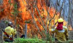 Alcalde de Bolivia rompe en llanto luego que incendios forestales devastaron el 60% de su municipio