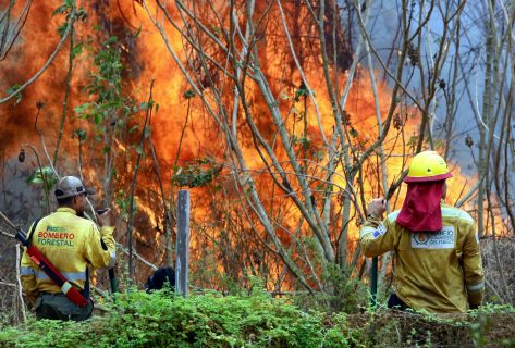 Alcalde de Bolivia rompe en llanto luego que incendios forestales devastaron el 60% de su municipio