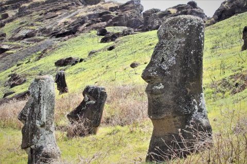 Isla de Pascua: Senapred declara alerta roja por incendio forestal que afecta a parque nacional