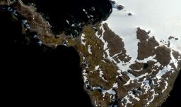 Científicos estudiaron explosivo aumento de áreas verdes en la Antártica: Estos fueron los alarmantes hallazgos