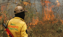 Conaf envía a Bolivia helicóptero para combatir incendios forestales: “Está dotado con todo lo necesario"