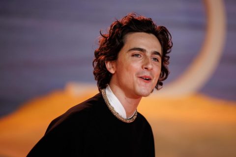 Multitudinario concurso de dobles de Timothée Chalamet desata caos en Nueva York: El propio actor hizo una aparición sorpresa