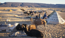 No es un espejismo, el desierto del Sahara se inundó por primera vez en décadas: Estas son las impactantes imágenes de cómo quedó