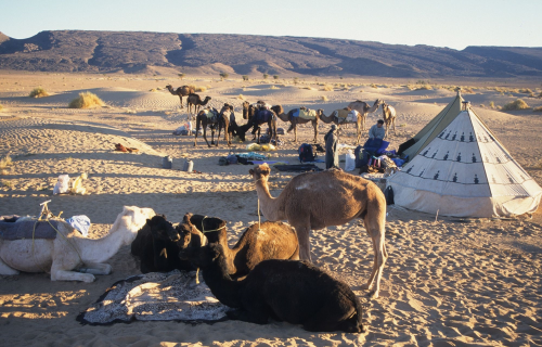 No es un espejismo, el desierto del Sahara se inundó por primera vez en décadas: Estas son las impactantes imágenes de cómo quedó