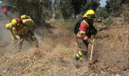 Dos incendios se encuentran en combate en la comuna de Melipilla