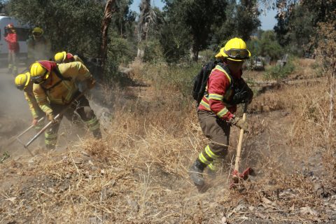 Dos incendios se encuentran en combate en la comuna de Melipilla