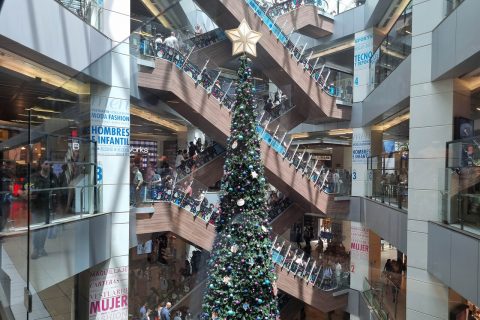 El 80% de los trabajadores usará su aguinaldo de Navidad para comprar alimentos, según encuesta de Edenred