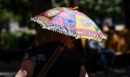 Se esperan más de 30° C para el norte: Pronóstico del tiempo en Chile para este 7 de noviembre