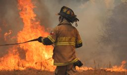 Senapred decreta alerta roja por incendio forestal en Ovalle y Pudahuel: Ambos se encuentran cercanos a viviendas