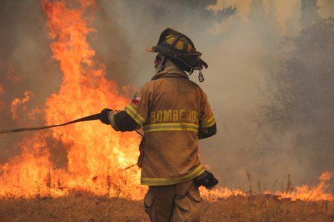 Senapred decreta alerta roja por incendio forestal en Ovalle y Pudahuel: Ambos se encuentran cercano a viviendas