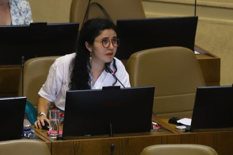 Diputada Serrano (PC) evalúa recurrir al TC por idea de prohibir gratuidad a estudiantes sancionados por Aula Segura