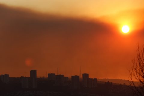 Senapred ordena evacuar sectores de Santo Domingo por avance de incendio forestal