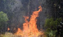 Pronóstico del tiempo en Chile para este 13 de noviembre: Preocupación por riesgo de incendios forestales