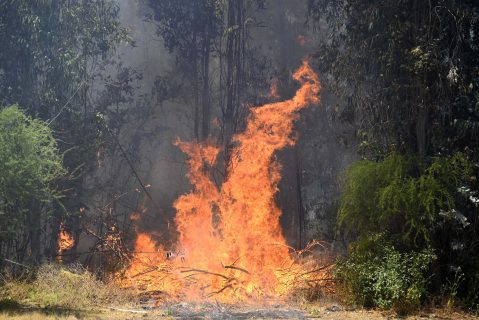 Pronóstico del tiempo en Chile para este 13 de noviembre: Preocupación por riesgo de incendios forestales