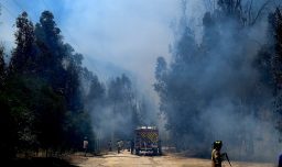 Senapred declara alerta roja por incendios forestales de comportamiento extremo en Viña del Mar, Quilpué y Villa Alemana