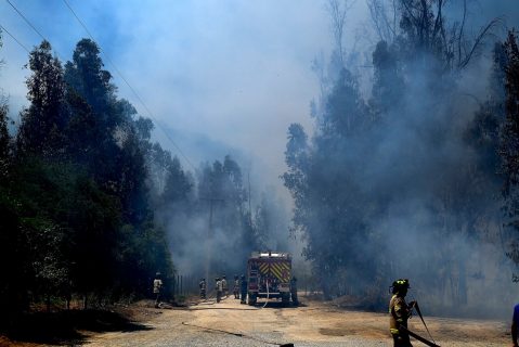 Senapred declara alerta roja por incendios forestales de comportamiento extremo en Viña del Mar, Quilpué y Villa Alemana