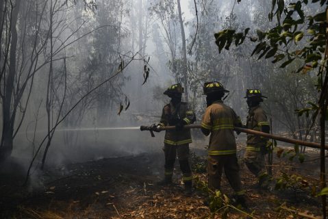 Para ganar bonos y horas extra: Este era el modus operandi del "Cartel del Fuego" que provocó megaincendio de Valparaíso