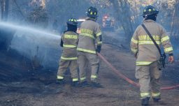 "No puede haber impunidad": Bomberos exigen justicia para voluntario agredido por 5 sujetos durante incendio en Talca