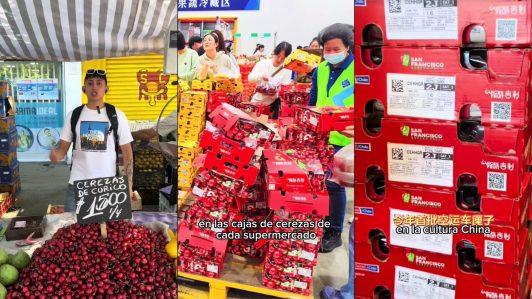 Chileno revela el "furor" de los chinos por las cerezas: Un fenómeno cultural que trasciende fronteras