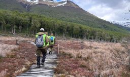 Realizan intensa búsqueda de tres turistas que realizaban trekking en Tierra del Fuego y no regresaron a refugio