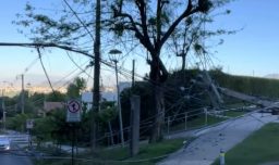 Corte de luz en La Reina: Caída de árbol derribó cinco postes eléctricos