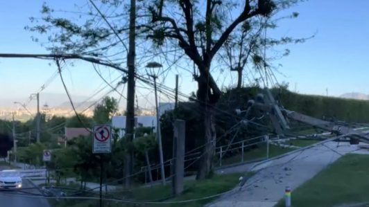 Corte de luz en La Reina: Caída de árbol derribó cinco postes eléctricos