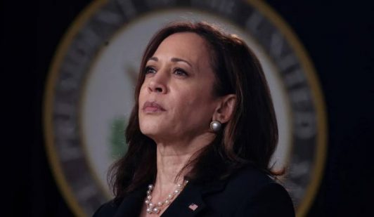 Tras aplastantes proyecciones sobre victoria de Trump: Kamala Harris no hablará esta noche