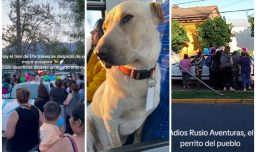 "Rusio Aventuras": La historia del perro viajero cuya muerte enlutó a todo San Francisco de Mostazal