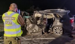 Qué se sabe de la brutal colisión frontal en la Ruta del Itata que dejó cinco fallecidos y cuatro heridos