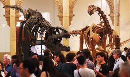 Exposición gratuita de dinosaurios en el Museo Nacional de Historia Natural: Todo lo que necesitas saber