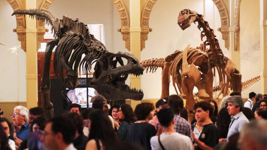 Exposición gratuita de dinosaurios en el Museo Nacional de Historia Natural: Todo lo que necesitas saber