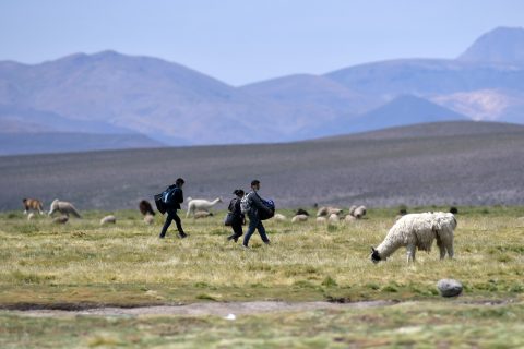 Cadem: 77% cree que llegada de migrantes es mala para Chile y 79% piensa que se debe “cerrar la frontera a nueva inmigración”