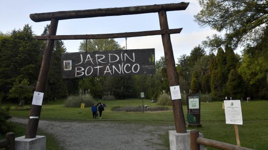 Vacaciones: Jardines y parques en Chile para escapar de las altas temperaturas este verano