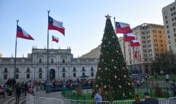 Panorama familiar: ¿Cuándo estará el árbol de Navidad en la Plaza de la Constitución?