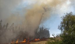 Senapred ordena la evacuación de varios sectores de Melipilla y declara Alerta Roja por incendio forestal que amenaza la zona