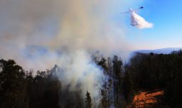 Declaran Alerta Roja en Quillota por incendio forestal