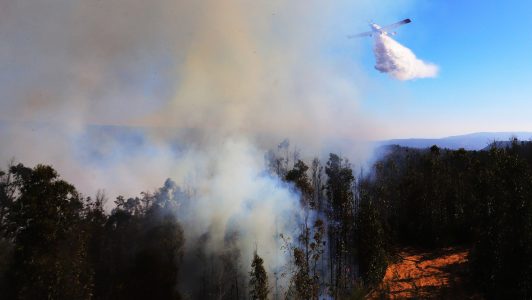 Declaran Alerta Roja en Quillota por incendio forestal