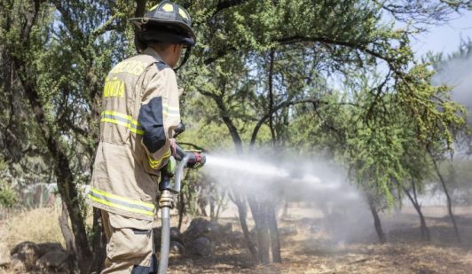 Senapred de O'Higgins por incendios forestales: "La preocupación es alta en nuestra región"