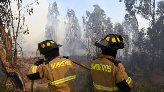 Declaran Alerta Roja en Lampa por incendio que ha consumido 50 hectáreas: Siniestro afecta a sector de Laguna Batuco