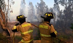 Senapred declara alerta roja en Marchihue por incendio forestal: Hay amenaza inminente a 12 viviendas