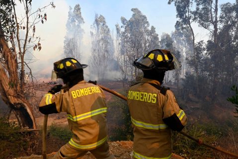 Senapred declara alerta roja en Marchihue por incendio forestal: Hay amenaza inminente a 12 viviendas