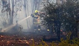 Senapred solicita evacuar población Ranguel en Hualqui por incendio forestal